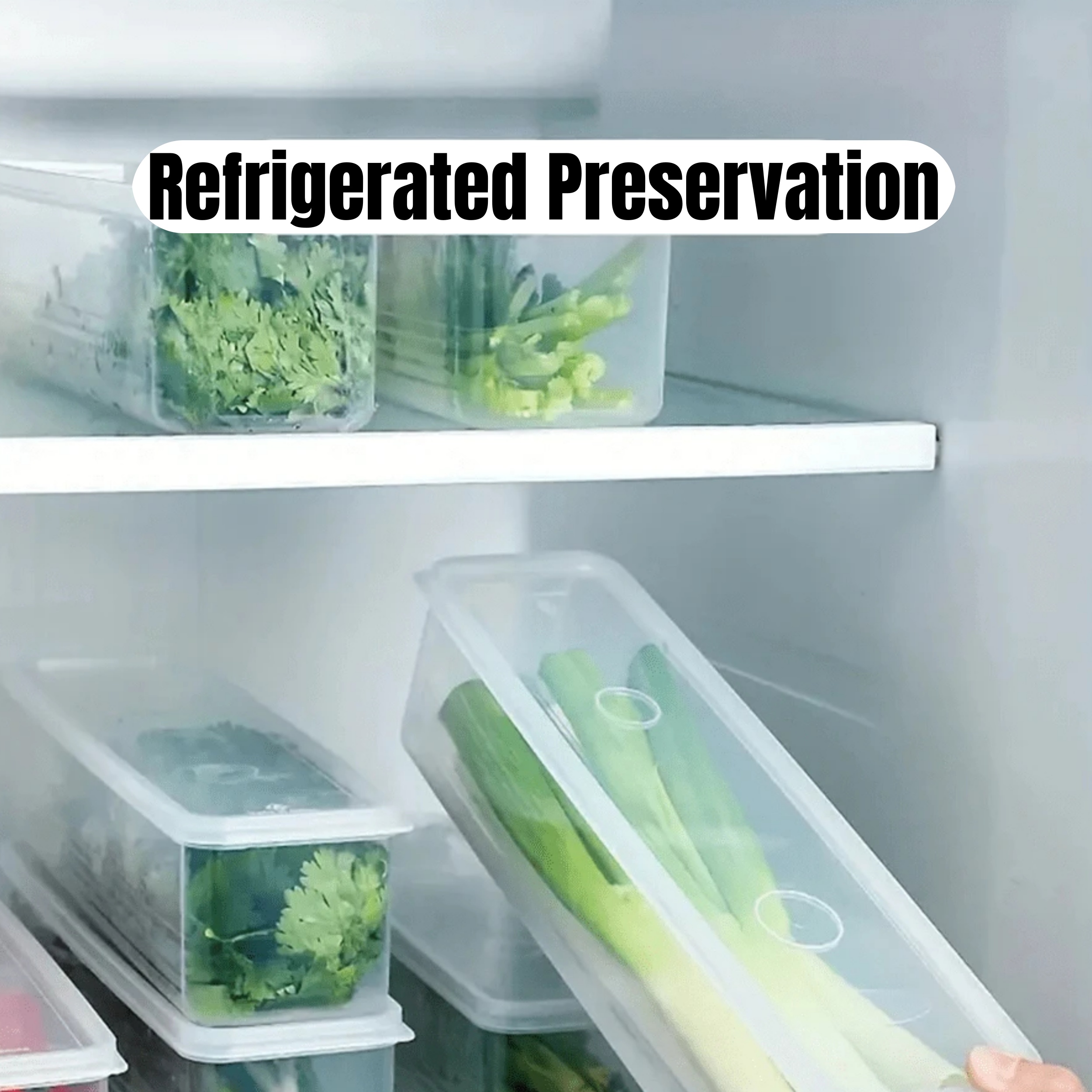 1/2/4Pcs Refrigerator Storage  - Meal Prep Gym incelemesi ve fiyatı